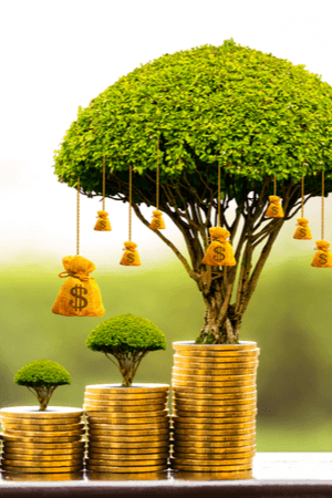 Groene aandelen beleggen