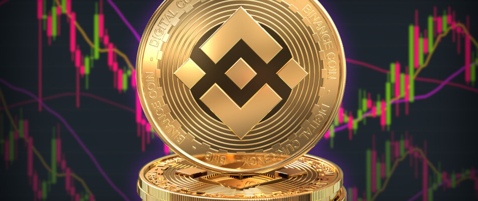 binance coin