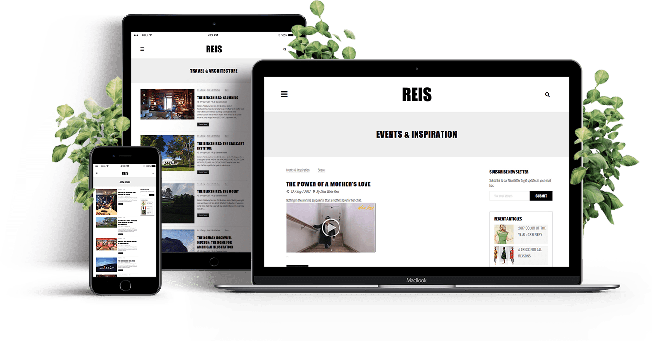 reismag-screen4