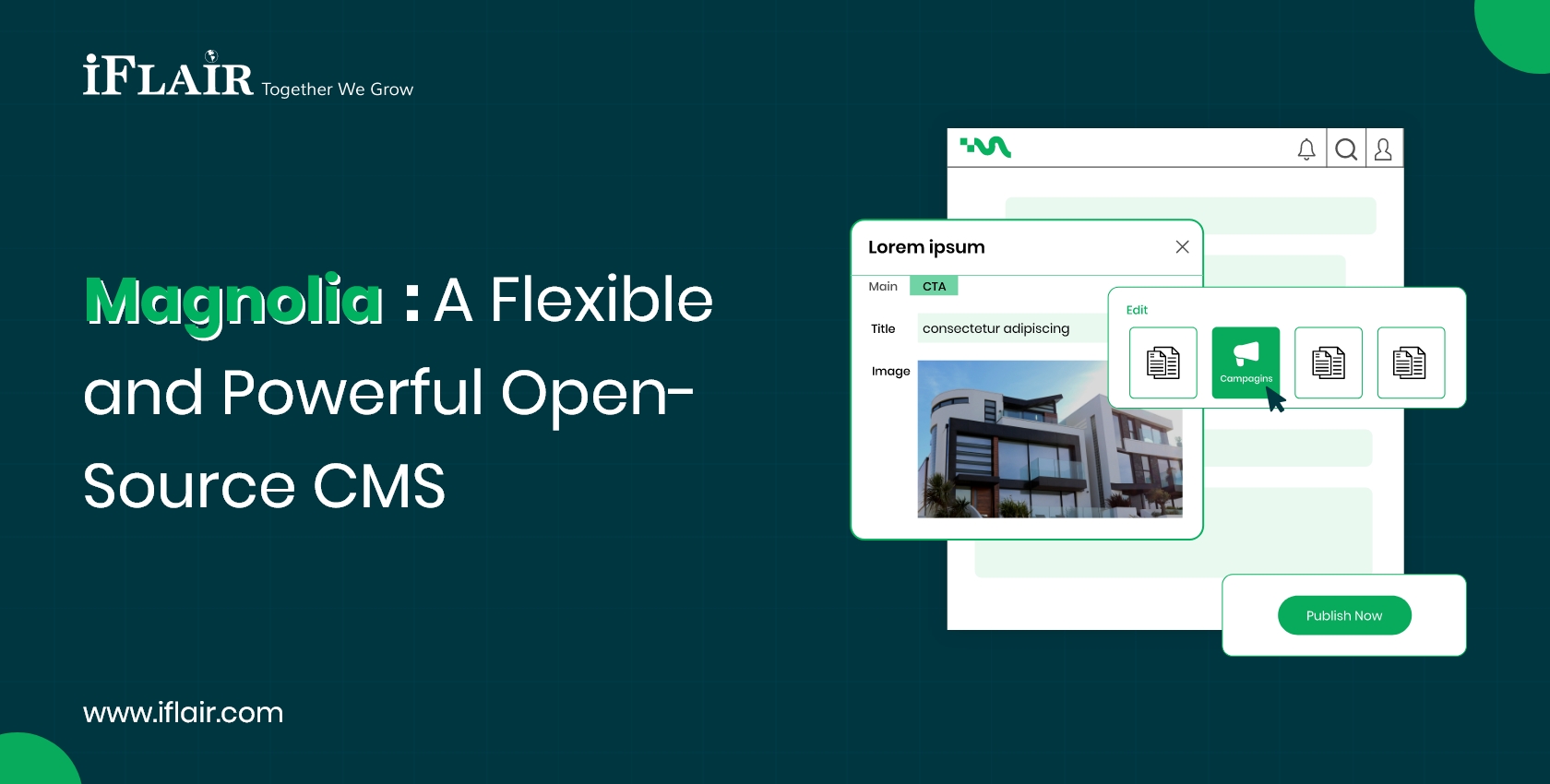 Hire Magnolia Developer: Build Scalable and Flexible Digital Experiences