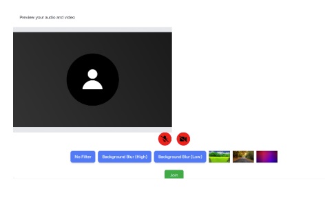 Video Conference Interface 4